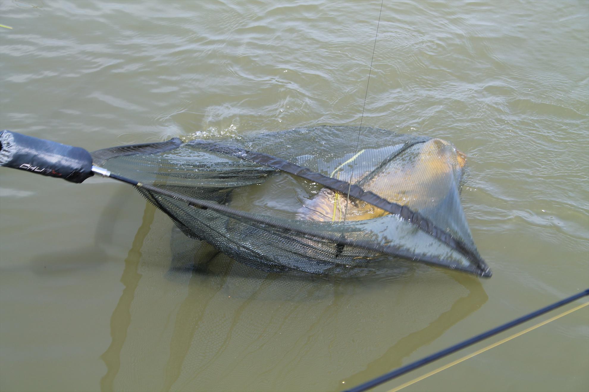 Nagykallo 2013 FedeerTeamUnique - nagykallo-aprilie2013-167.JPG